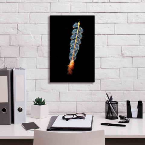 Image of 'Deep Sea Rocket' by Epic Portfolio, Giclee Canvas Wall Art,12x18