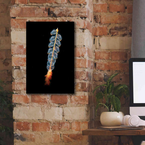 Image of 'Deep Sea Rocket' by Epic Portfolio, Giclee Canvas Wall Art,12x18