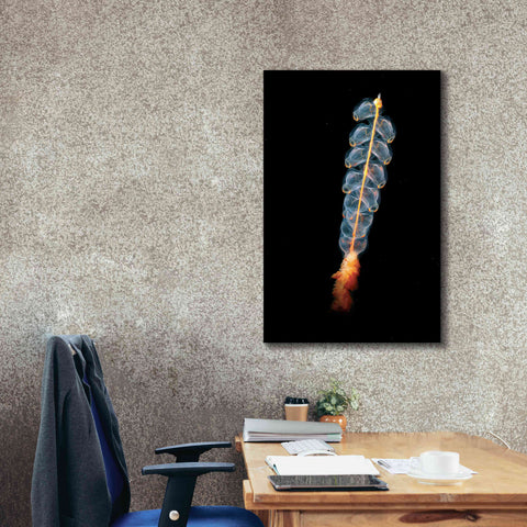 Image of 'Deep Sea Rocket' by Epic Portfolio, Giclee Canvas Wall Art,26x40