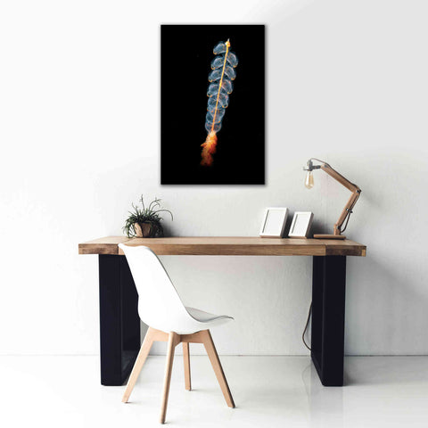 Image of 'Deep Sea Rocket' by Epic Portfolio, Giclee Canvas Wall Art,26x40