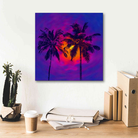 Image of 'Good Night Florida' by Epic Portfolio, Giclee Canvas Wall Art,18x18