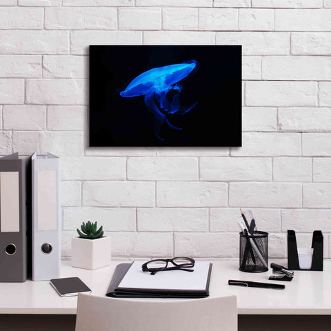 Image of 'Swan Lake' by Epic Portfolio, Giclee Canvas Wall Art,18x12