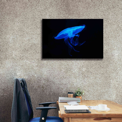 Image of 'Swan Lake' by Epic Portfolio, Giclee Canvas Wall Art,40x26