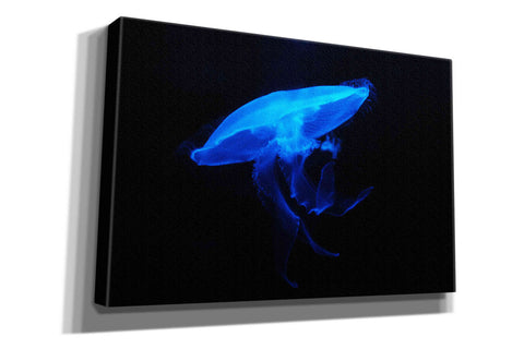 Image of 'Swan Lake' by Epic Portfolio, Giclee Canvas Wall Art