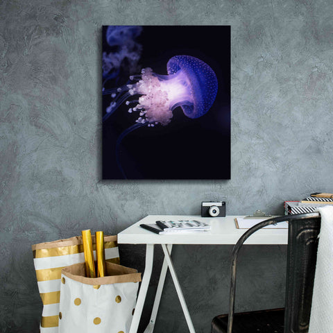 Image of 'Underwater Mushroom' by Epic Portfolio, Giclee Canvas Wall Art,20x24