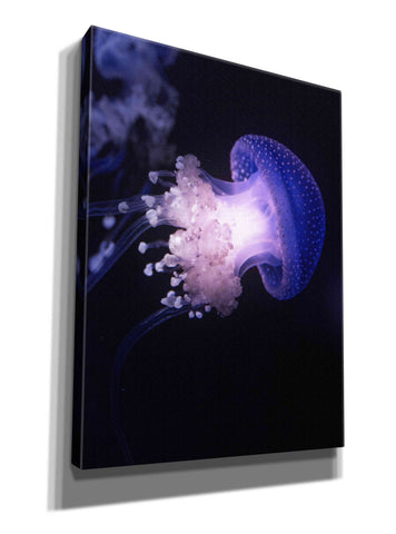 Image of 'Underwater Mushroom' by Epic Portfolio, Giclee Canvas Wall Art