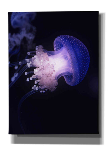 Image of 'Underwater Mushroom' by Epic Portfolio, Giclee Canvas Wall Art