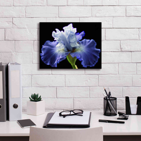 Image of 'Violet Blaze ' by Epic Portfolio, Giclee Canvas Wall Art,16x12