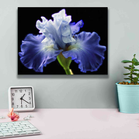 Image of 'Violet Blaze ' by Epic Portfolio, Giclee Canvas Wall Art,16x12