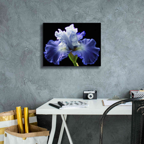 Image of 'Violet Blaze ' by Epic Portfolio, Giclee Canvas Wall Art,16x12