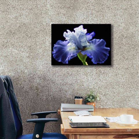 Image of 'Violet Blaze ' by Epic Portfolio, Giclee Canvas Wall Art,26x18
