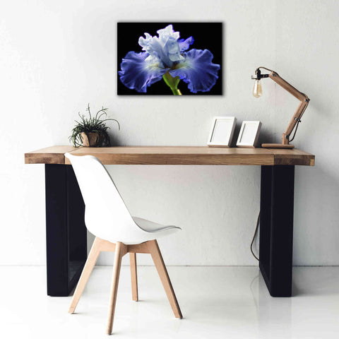 Image of 'Violet Blaze ' by Epic Portfolio, Giclee Canvas Wall Art,26x18
