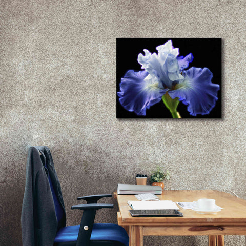 Image of 'Violet Blaze ' by Epic Portfolio, Giclee Canvas Wall Art,34x26