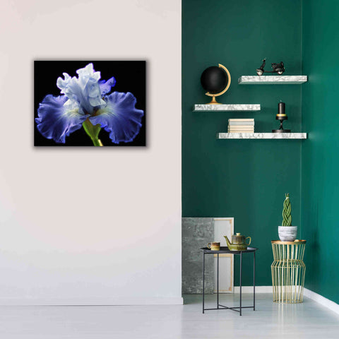Image of 'Violet Blaze ' by Epic Portfolio, Giclee Canvas Wall Art,34x26