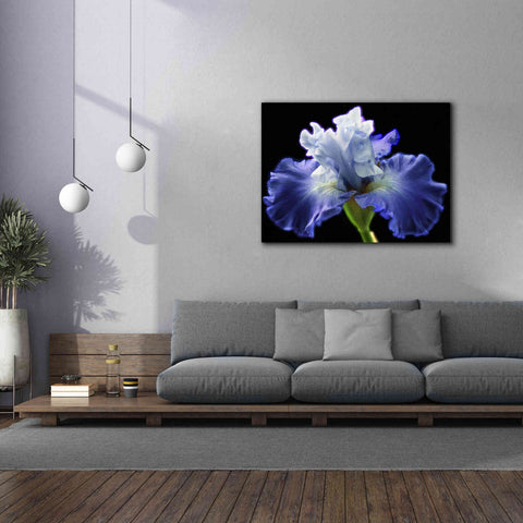 Image of 'Violet Blaze ' by Epic Portfolio, Giclee Canvas Wall Art,54x40