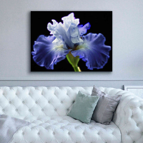 Image of 'Violet Blaze ' by Epic Portfolio, Giclee Canvas Wall Art,54x40