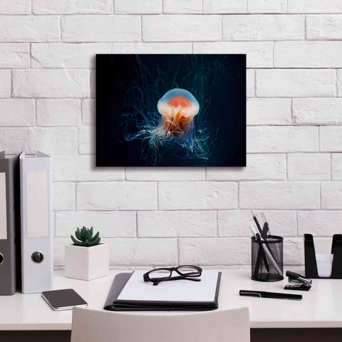 Image of 'Blast Off' by Epic Portfolio, Giclee Canvas Wall Art,16x12