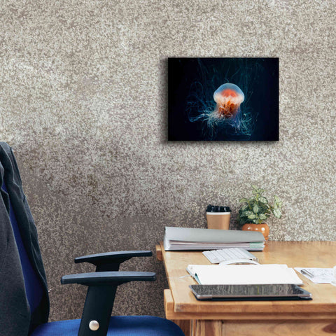 Image of 'Blast Off' by Epic Portfolio, Giclee Canvas Wall Art,16x12