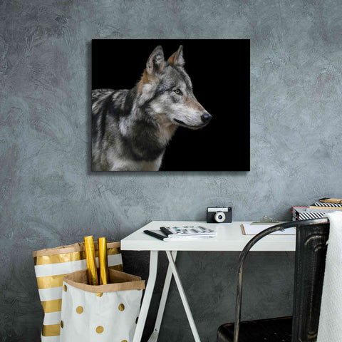 Image of 'Wolf' by Epic Portfolio, Giclee Canvas Wall Art,24x20