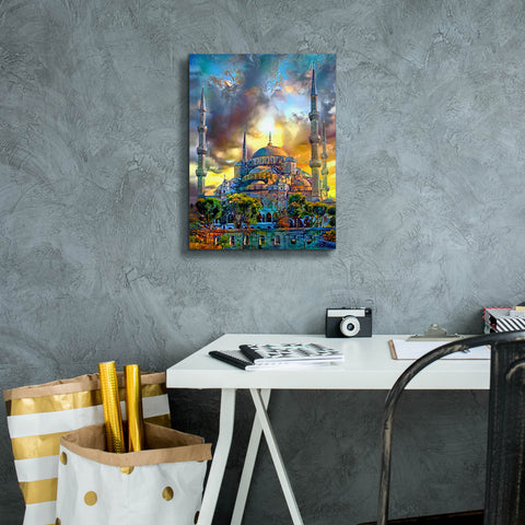 Image of 'Istanbul Turkey Blue Mosque' by Pedro Gavidia, Canvas Wall Art,12 x 16