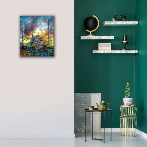 Image of 'Istanbul Turkey Blue Mosque' by Pedro Gavidia, Canvas Wall Art,20 x 24