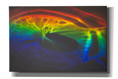 Image of 'This Is What I Looked Like Before I Was Human' by Epic Portfolio, Canvas Wall Art