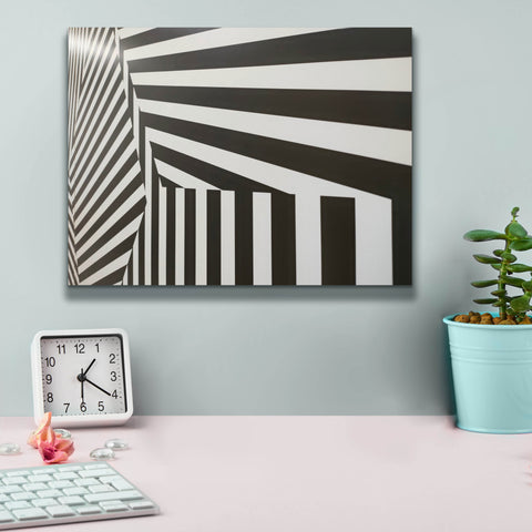 Image of 'Runover Zebra' by Epic Portfolio, Canvas Wall Art,16 x 12