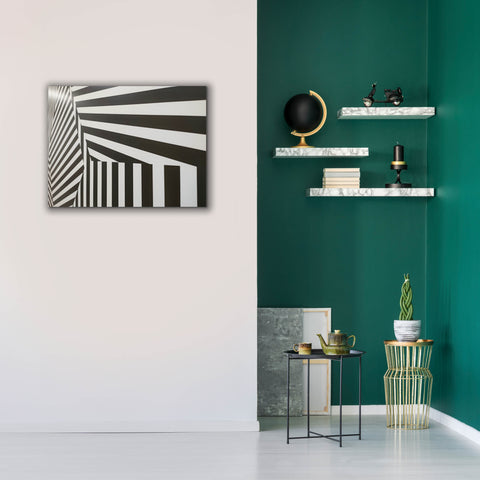 Image of 'Runover Zebra' by Epic Portfolio, Canvas Wall Art,34 x 26