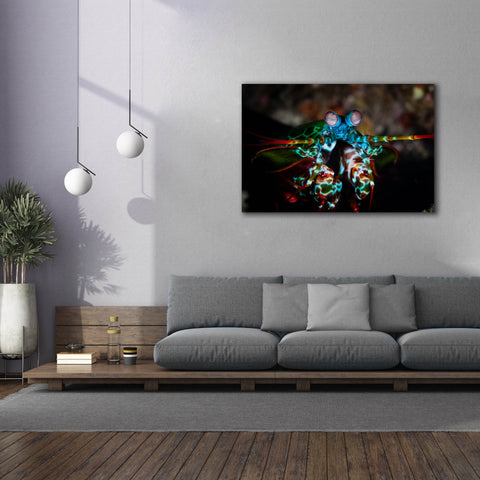 Image of 'Peacock Mantis Shrimp' by Epic Portfolio, Canvas Wall Art,60 x 40