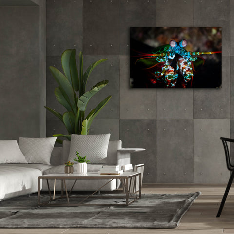 Image of 'Peacock Mantis Shrimp' by Epic Portfolio, Canvas Wall Art,60 x 40