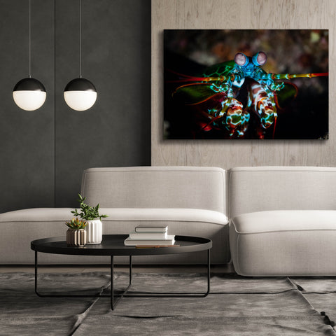 Image of 'Peacock Mantis Shrimp' by Epic Portfolio, Canvas Wall Art,60 x 40
