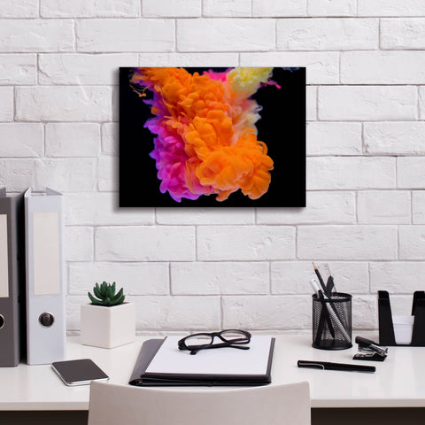 Image of 'Orange Burst' by Epic Portfolio, Canvas Wall Art,16 x 12