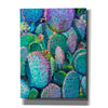 'Prickly Pear Elsewhere' by Iris Scott, Canvas Wall Art