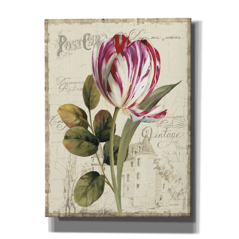 Image of 'Garden View II' by Lisa Audit Canvas Wall Art