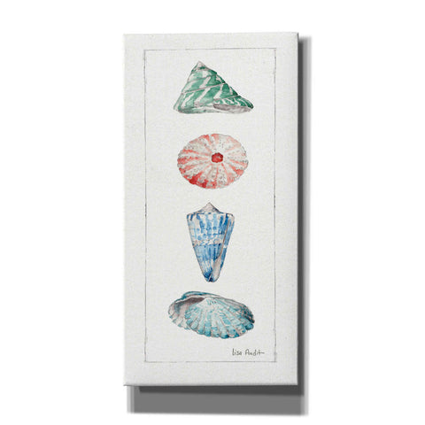 Image of 'Sea Finds III' by Lisa Audit, Canvas Wall Art