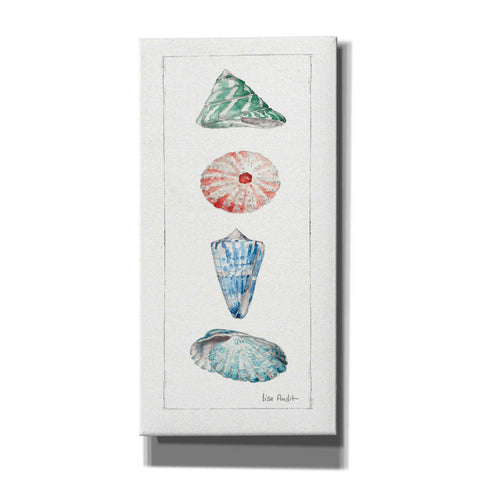 Image of 'Sea Finds III' by Lisa Audit, Canvas Wall Art
