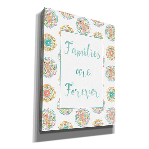 Image of 'Rainbow Seeds Families' by Lisa Audit, Canvas Wall Art