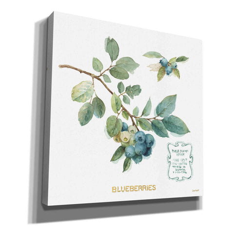 Image of 'My Greenhouse Fruit II' by Lisa Audit, Canvas Wall Art