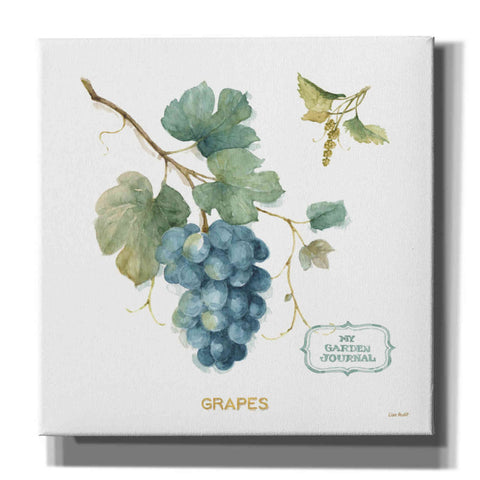 Image of 'My Greenhouse Fruit III' by Lisa Audit, Canvas Wall Art