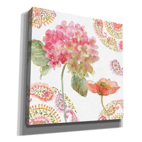 Image of 'Rainbow Seeds Paisley II' by Lisa Audit, Canvas Wall Art