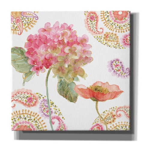 Image of 'Rainbow Seeds Paisley II' by Lisa Audit, Canvas Wall Art