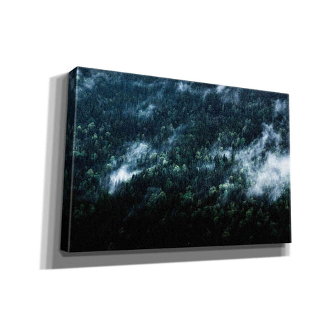 Image of "Foggy Forest Mountain" by Nicklas Gustafsson Giclee Canvas Wall Art