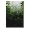 "Into The Cloud Forest" by Nicklas Gustafsson Giclee Canvas Wall Art