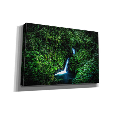 Image of "Jungle Waterfall" by Nicklas Gustafsson Giclee Canvas Wall Art