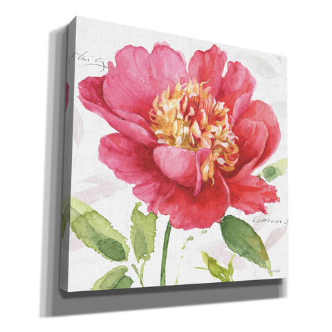 Image of 'Pink Garden II' by Lisa Audit, Canvas Wall Art
