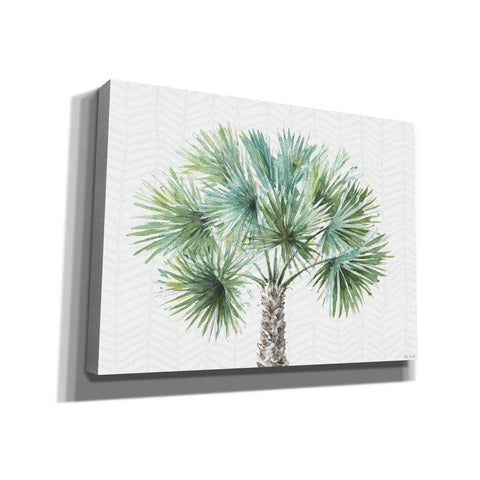 Image of 'Mixed Greens XIII' by Lisa Audit, Canvas Wall Art