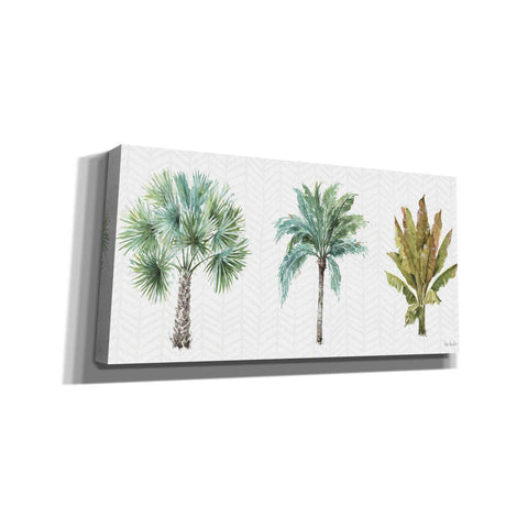 Image of 'Mixed Greens XV' by Lisa Audit, Canvas Wall Art