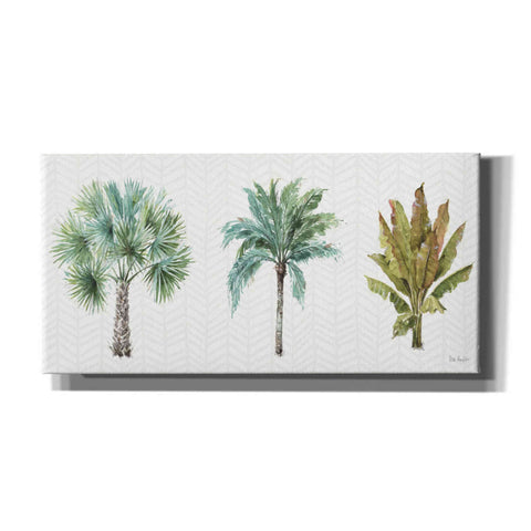 Image of 'Mixed Greens XV' by Lisa Audit, Canvas Wall Art