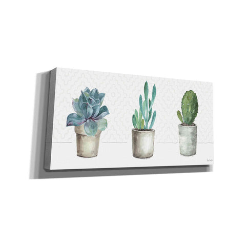 Image of 'Mixed Greens XLVIII' by Lisa Audit, Canvas Wall Art