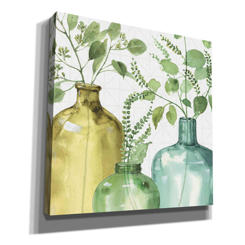 Image of 'Mixed Greens LV' by Lisa Audit, Canvas Wall Art